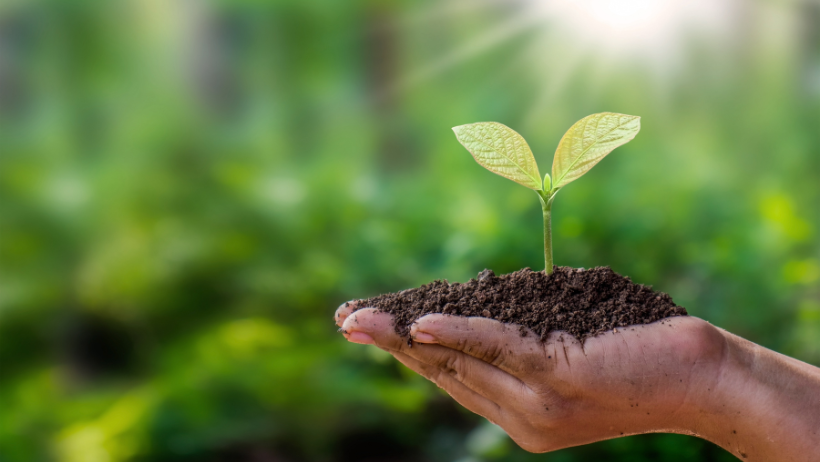 Ecología Integral